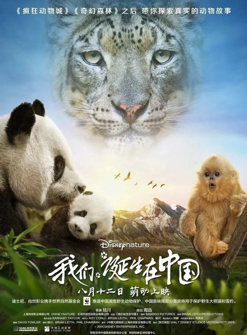 图片23.png 图片23.png