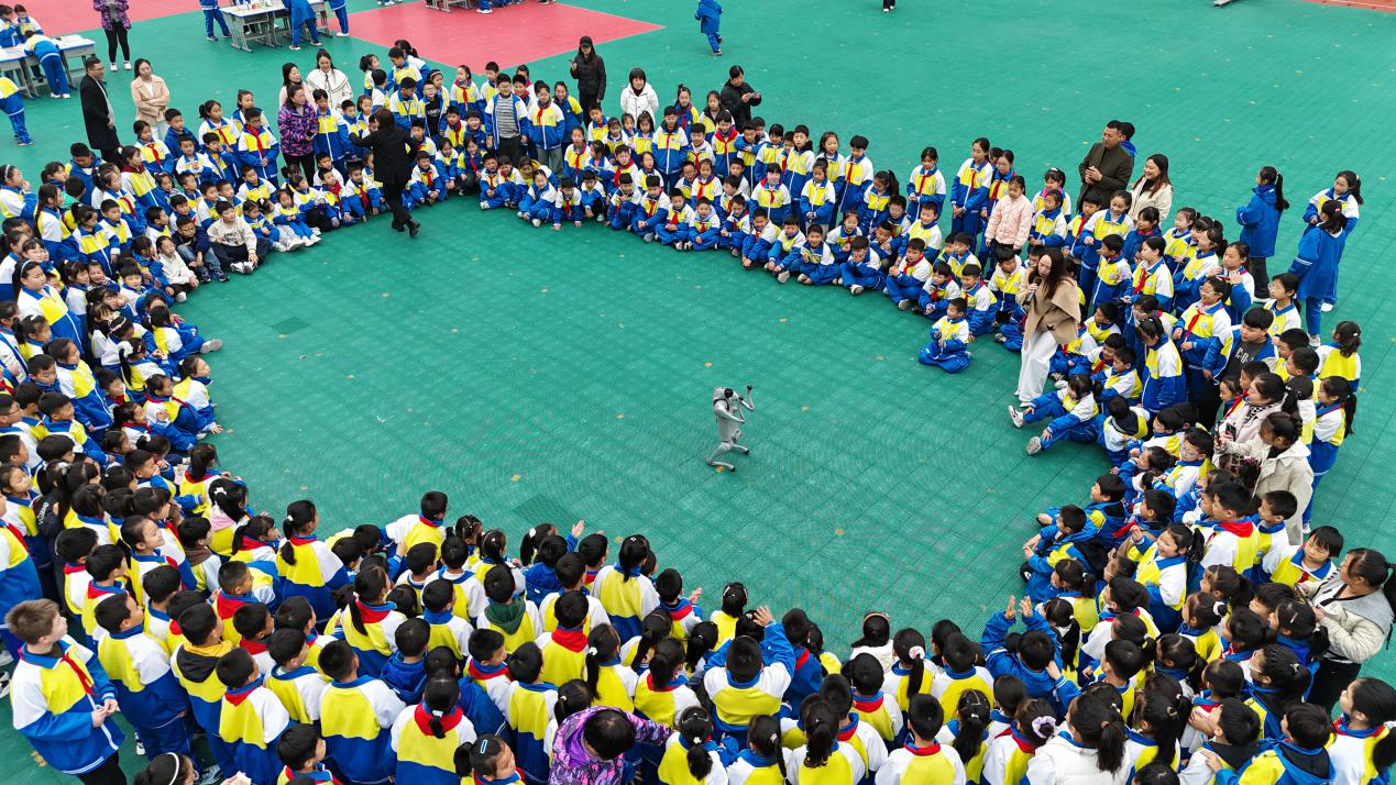 图片15.png 图片15.png