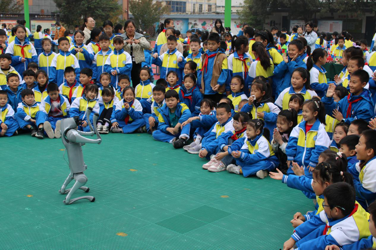 图片16.png 图片16.png