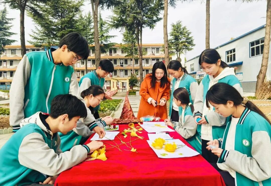 图片4.png 图片4.png