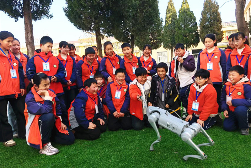 图片17.png 图片17.png