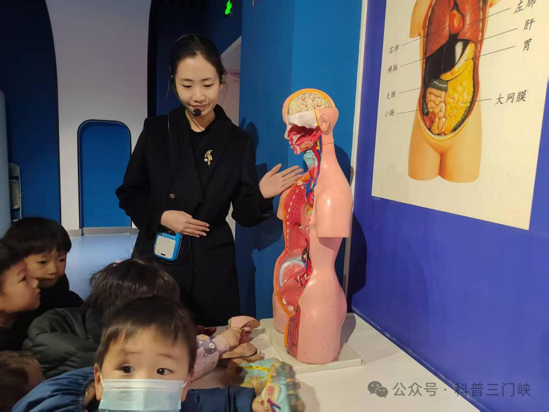 图片37.png 图片37.png