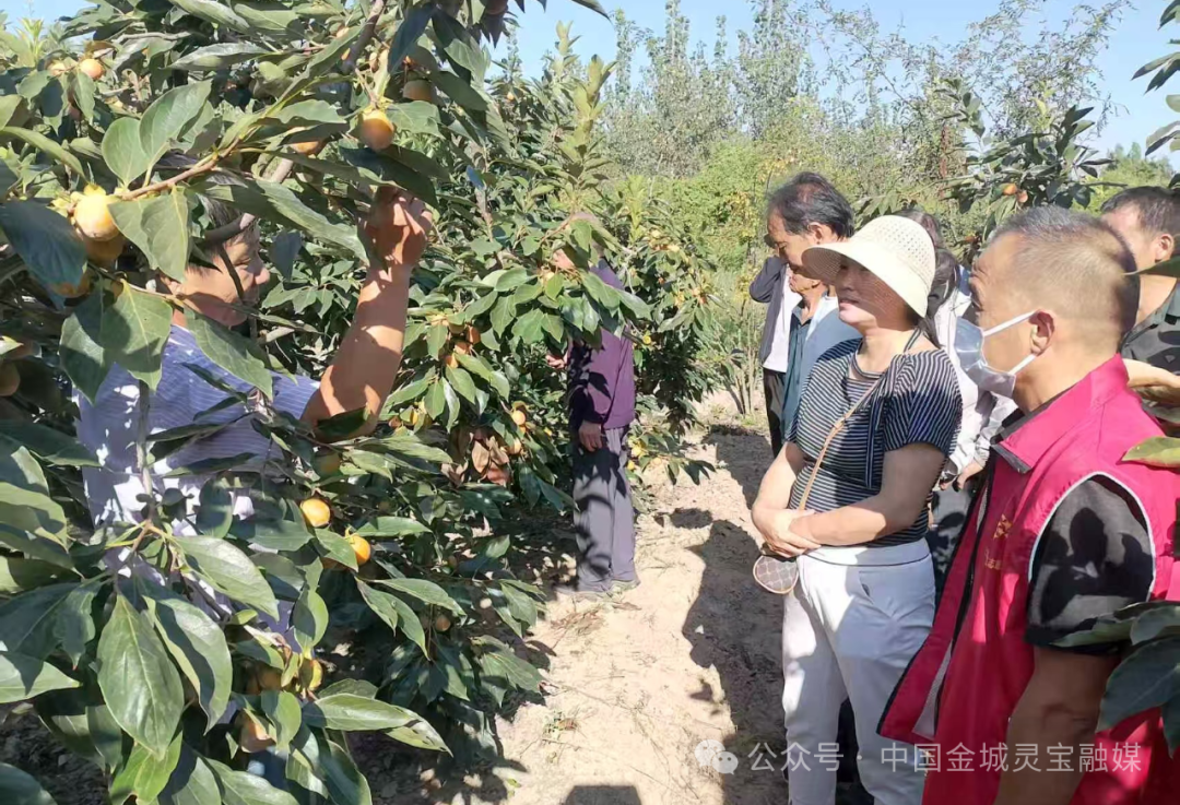 图片5.png 图片5.png