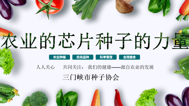图片13.png