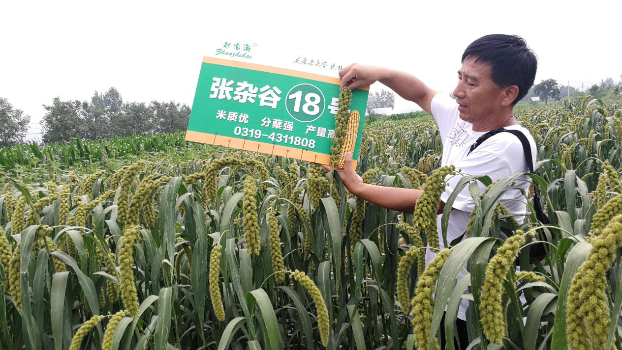 图片22.png