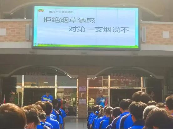 图片31.png