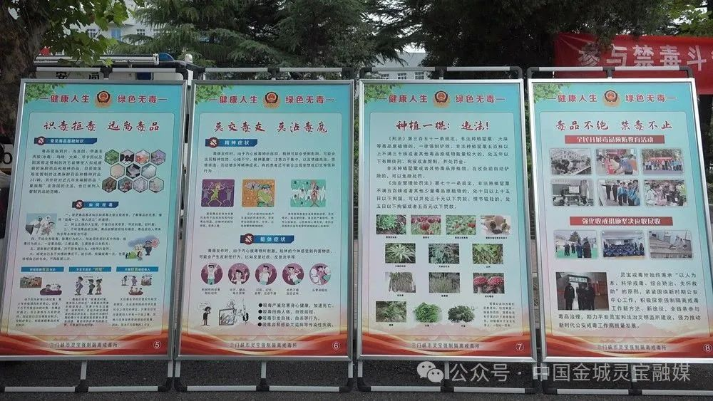 图片14.png