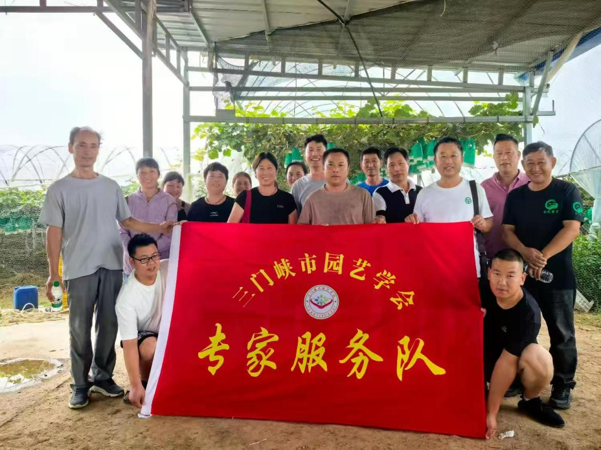 图片12.png