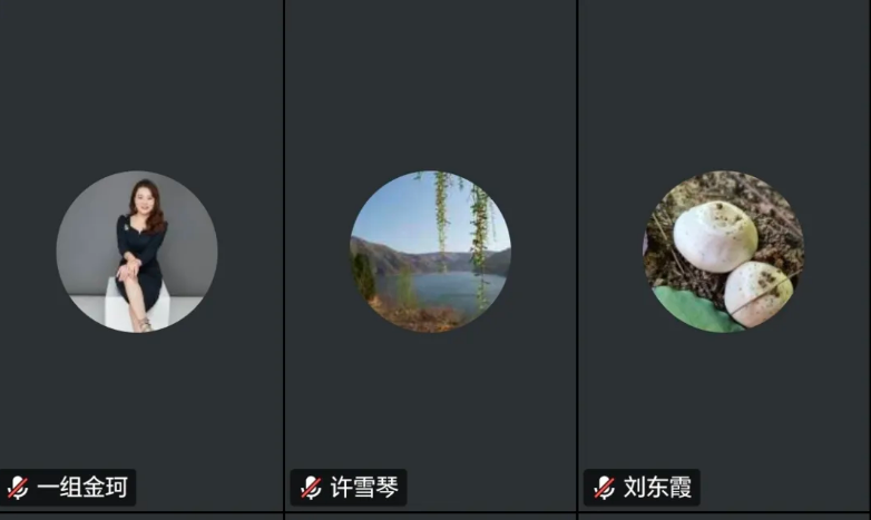 截图-2025年6月30日 16时56分36秒.png