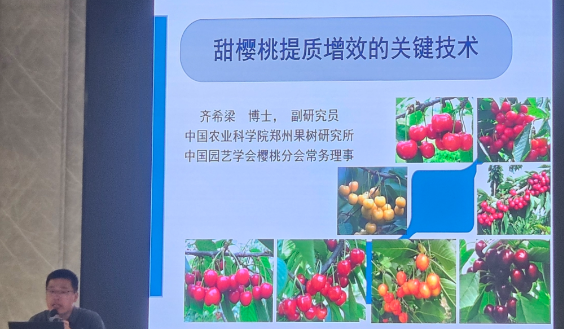 图片10.png