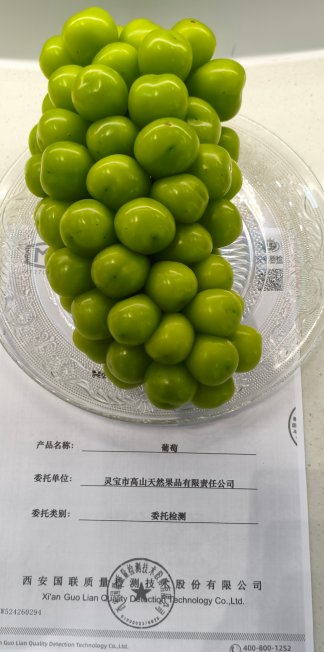 截图-2025年9月25日 15时29分14秒.png