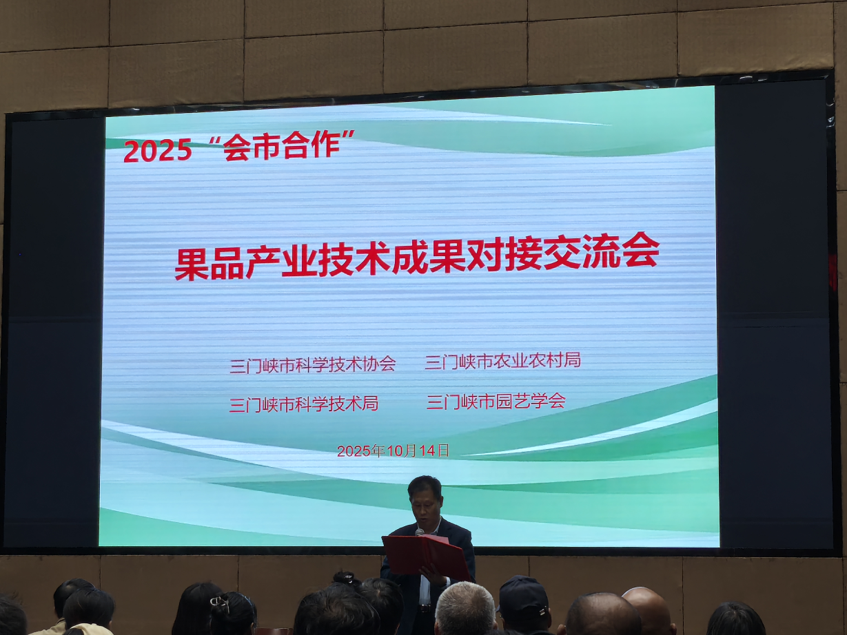 图片13(1).png