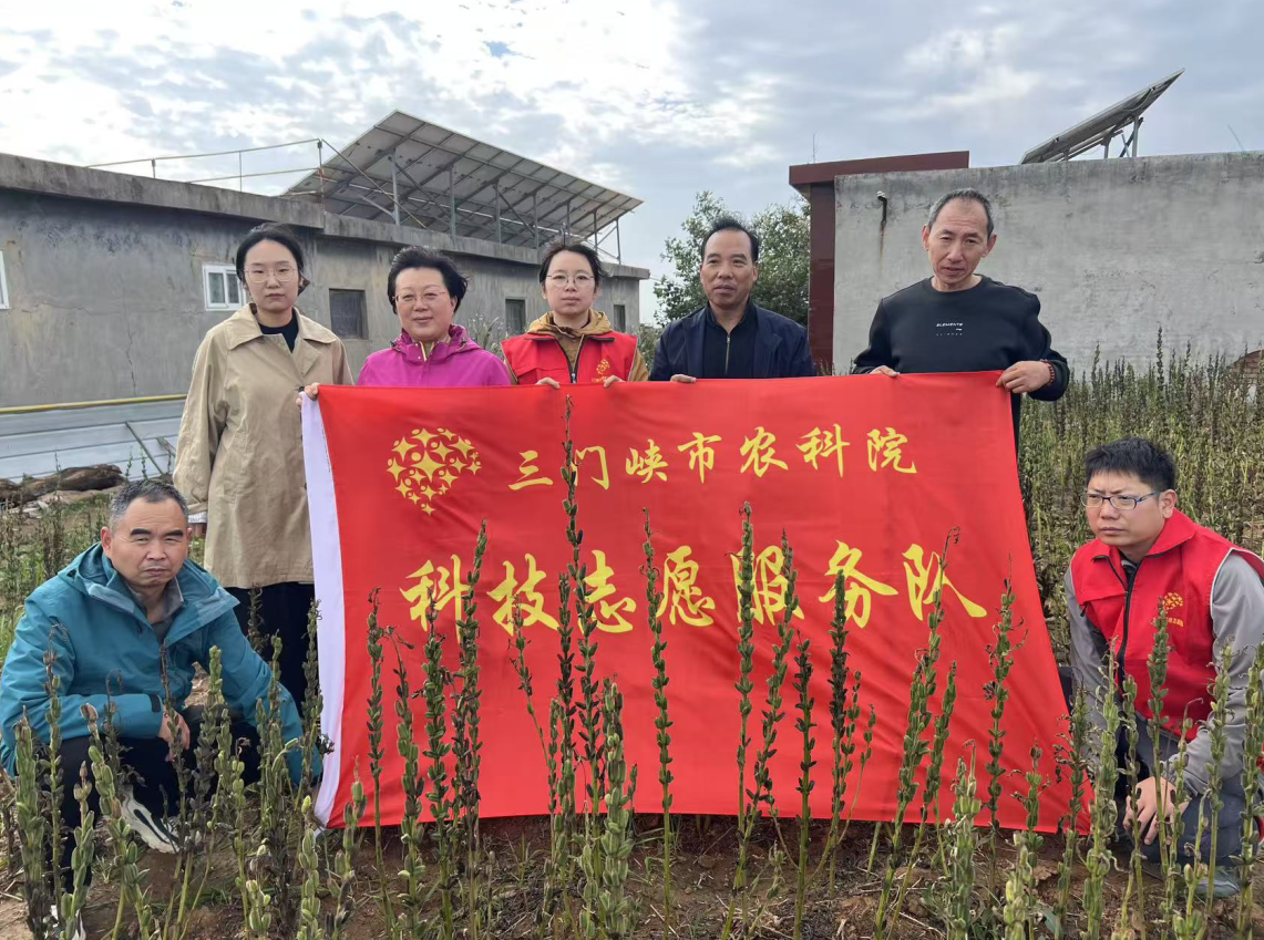 截图-2025年10月17日 10时25分25秒.png