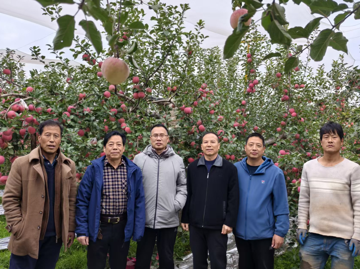 截图-2025年10月23日 15时47分4秒.png