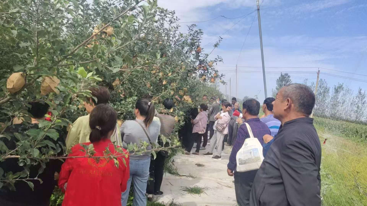 图片16.png