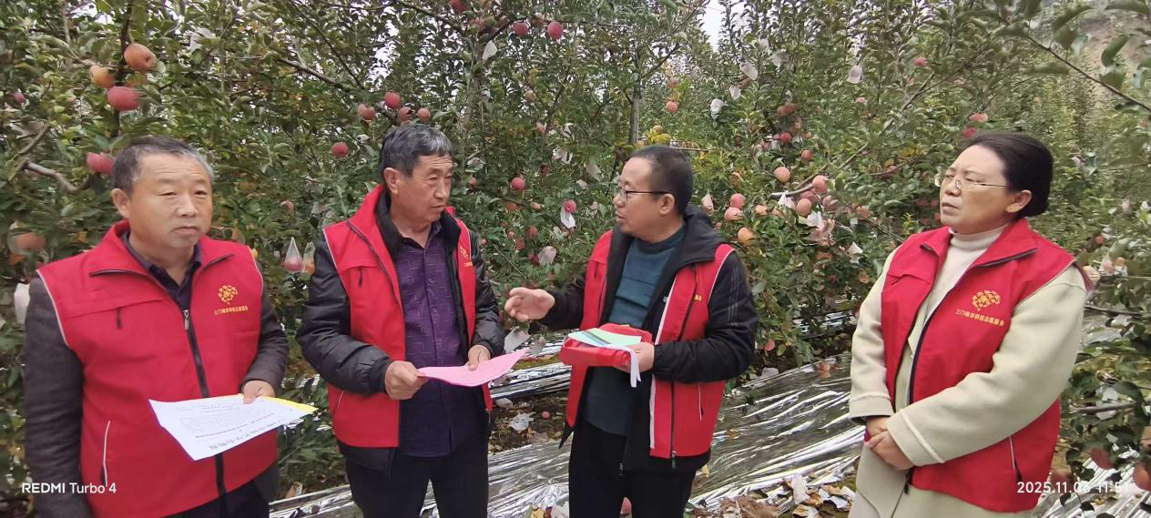 图片4.png 图片4.png