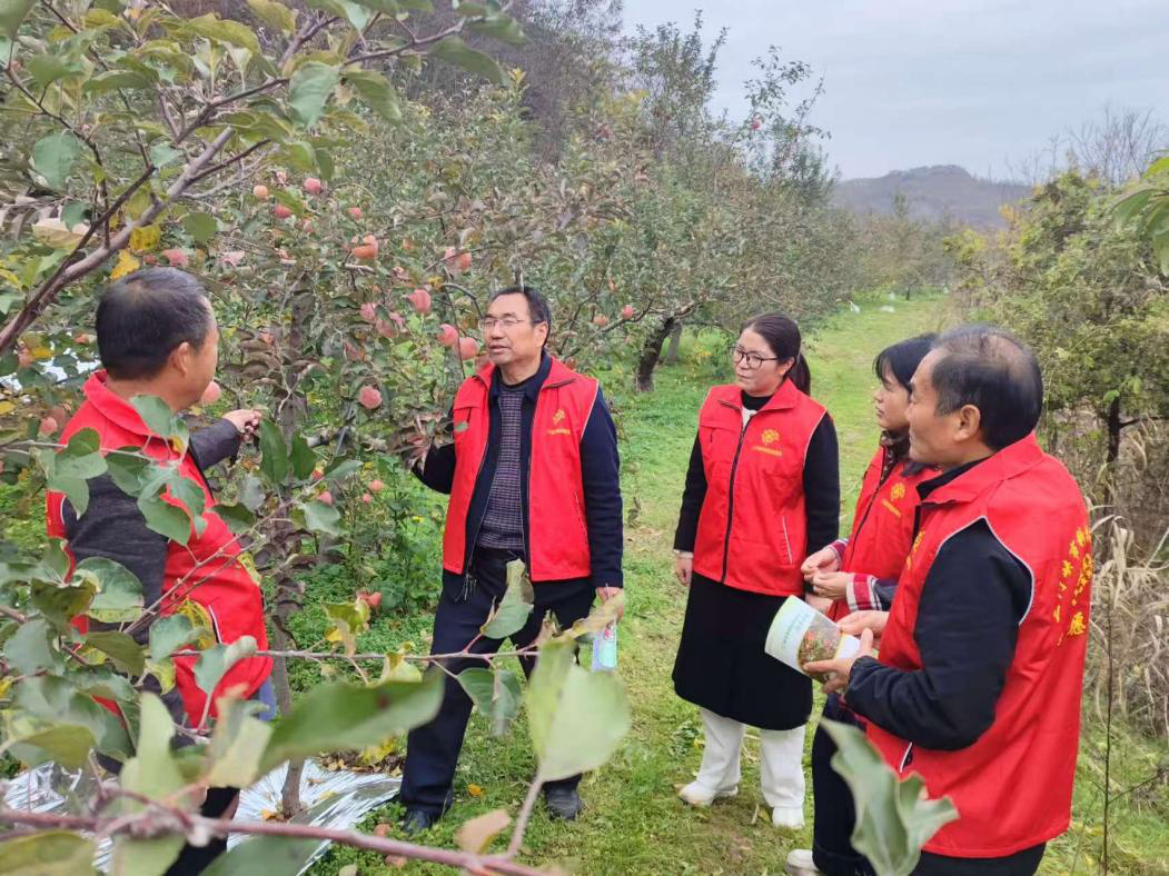 图片2.png 图片2.png