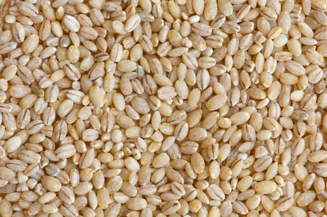 截图-2025年11月25日 9时20分44秒.png