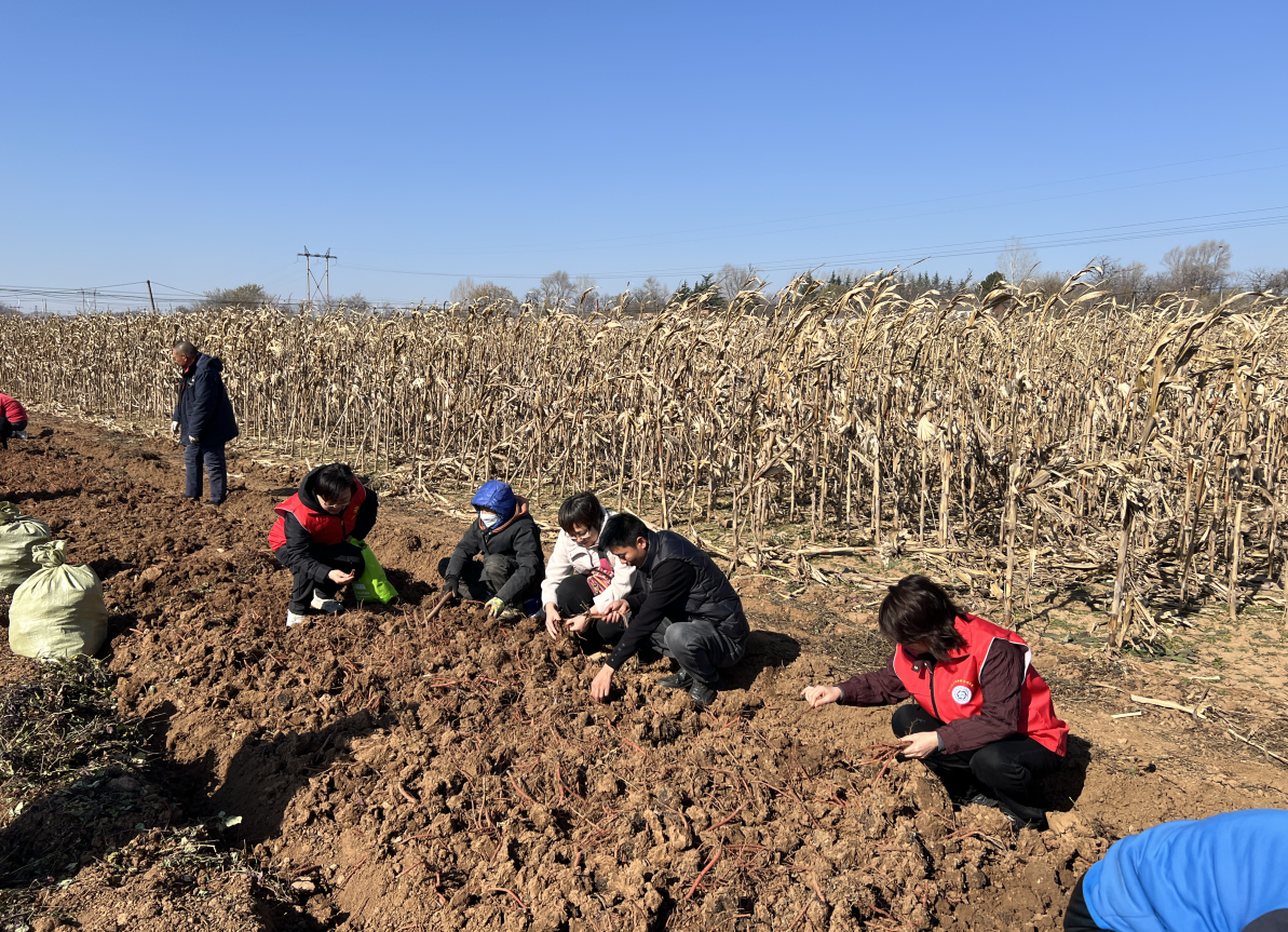 截图-2025年12月2日 15时16分20秒.png