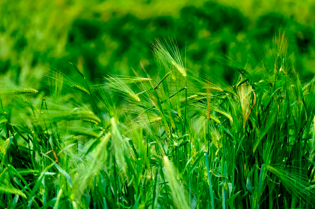 截图-2025年11月25日 9时20分24秒.png