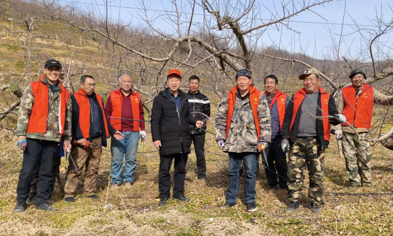 截图-2026年2月10日 15时41分32秒.png