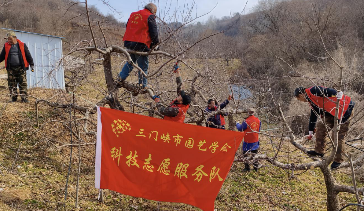 截图-2026年2月10日 15时37分37秒.png