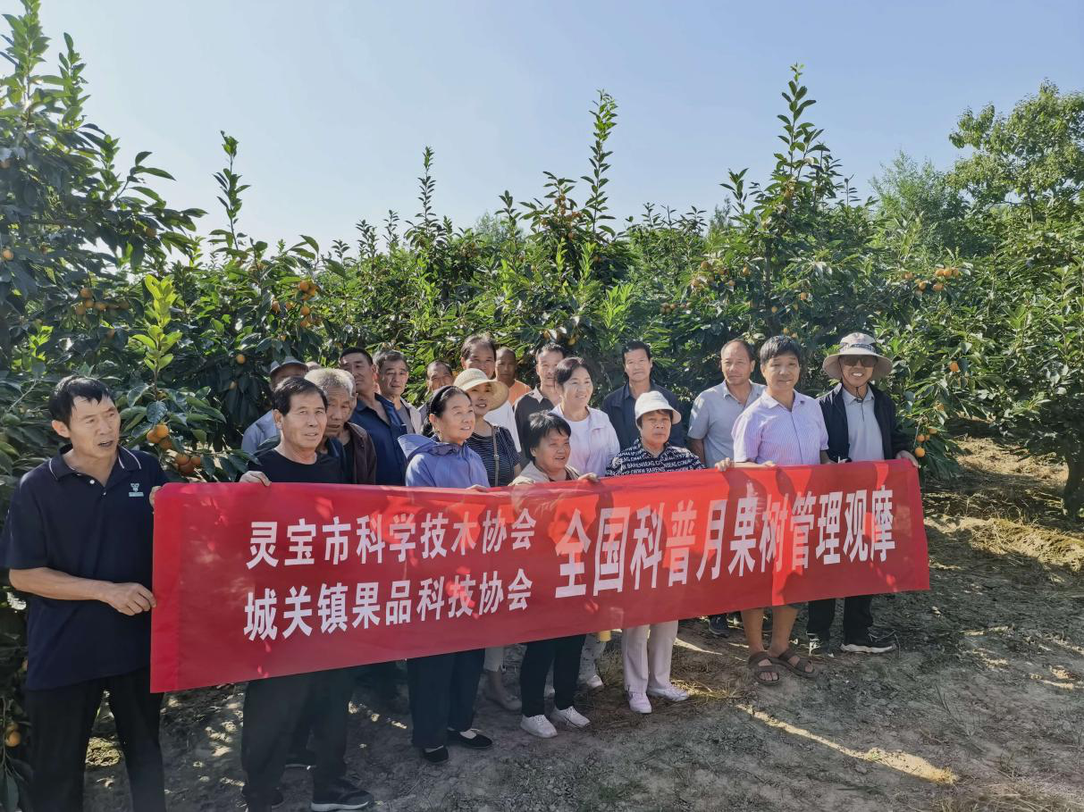 图片4.png 图片4.png