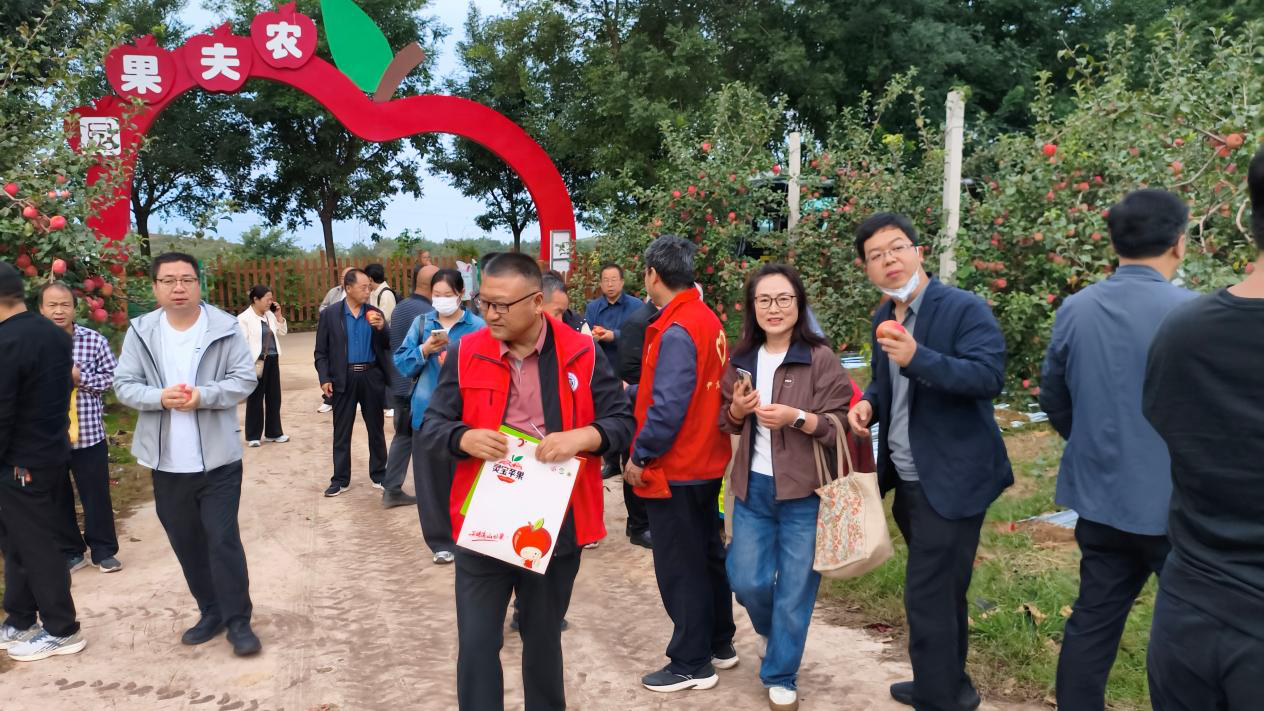图片4.png